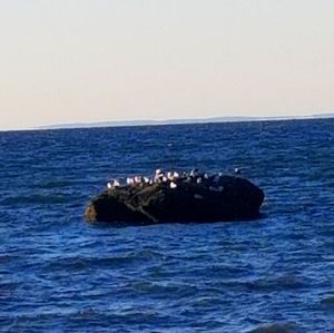 Hello Everyone!.🧜‍♀️Bundle up 🎁🎁🎁 One price shipping for all smaller items💰